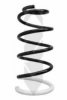 SPIDAN 86719 Coil Spring